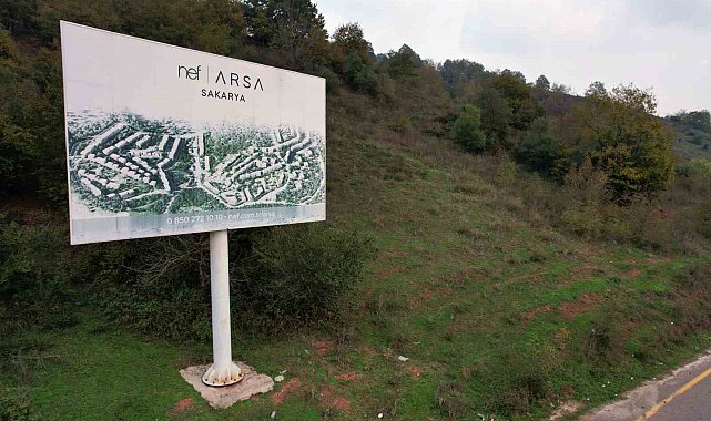 Ormana tabela asıp milyonlar topladılar