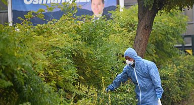 Osmangazi'de kemirgenlere karşı ilaçlama çalışması başlatıldı