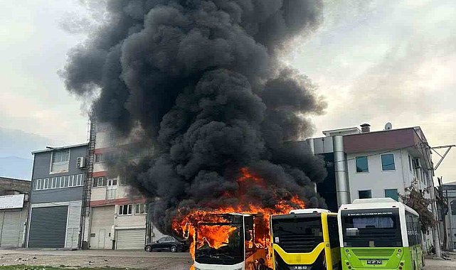 Park halindeki otobüsler cayır cayır yandı