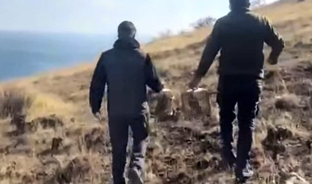 Rehabilite edilen keklikler yeniden doğayla buluştu