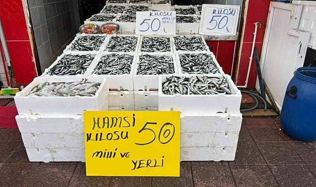 Rize'de hamsinin fiyatı sevenlerinin yüzünü güldürüyor