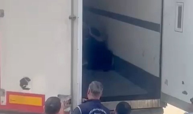 Sakarya'da 24 düzensiz göçmen yakalandı