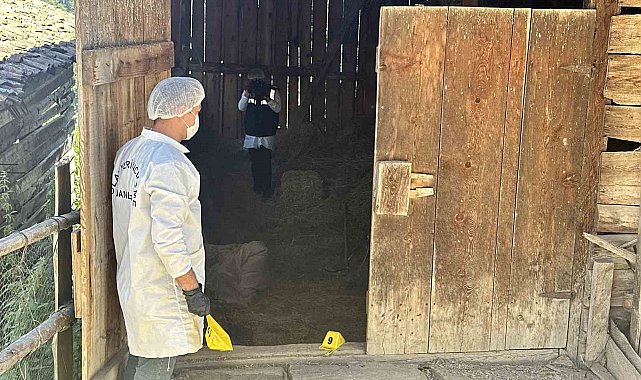 Samanlıkta işlenen cinayetle ilgili yargılama devam etti