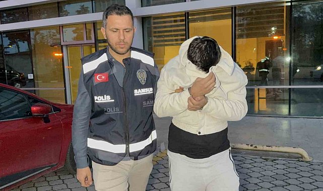 Samsun'da 13 milyon liralık dolandırıcılılığa 1 tutuklama