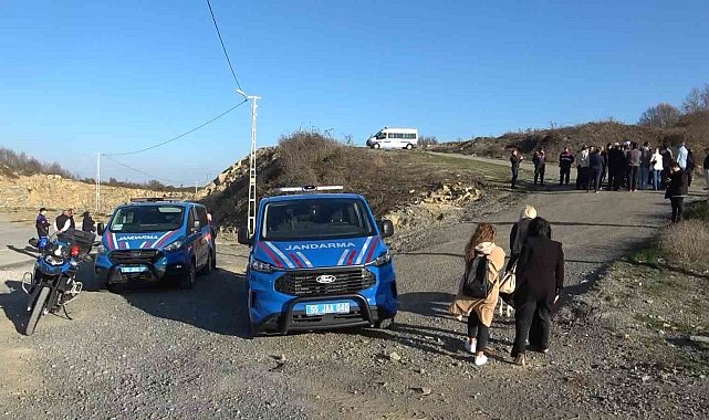 Samsun'da 9 köpeğin telef olması: Başkan Kurnaz'dan tepki