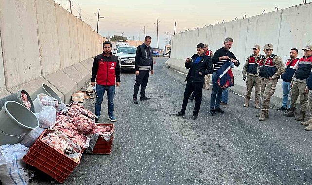 Şanlıurfa'da 1 ton kaçak et ele geçirildi