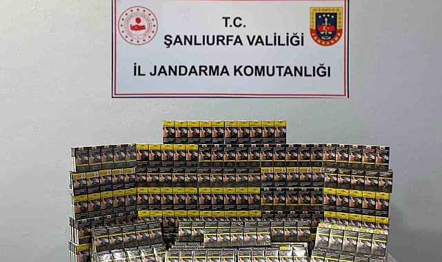 Şanlıurfa'da 5 bin paket kaçak sigara ele geçirildi