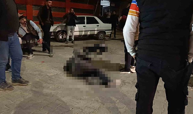 Şanlıurfa'da iki aile arasında silahlı kavga: 2 ölü, 2 yaralı