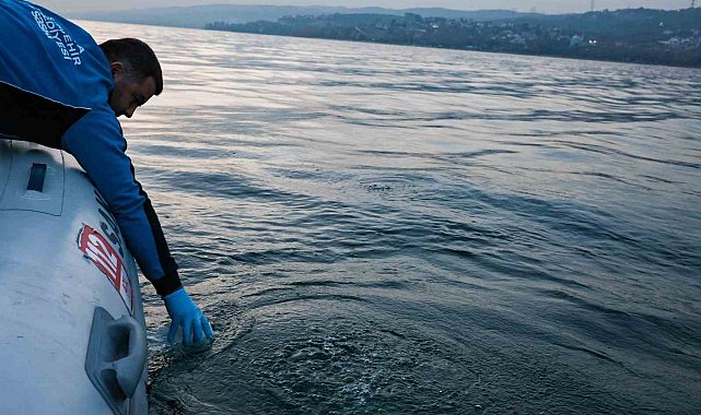 Sapanca Gölü'ndeki kabarcıkların sebebi belli oldu: Yeraltından doğal hava çıkışı