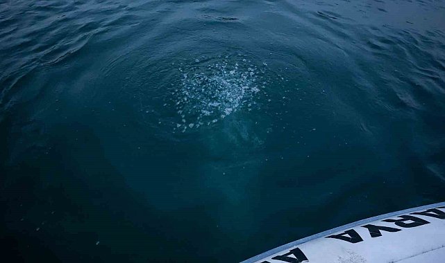 Sapanca Gölü'ndeki kabarcıkların verdiği endişe artıyor: "Herkes korkuyor, rahat uyuyamıyoruz"