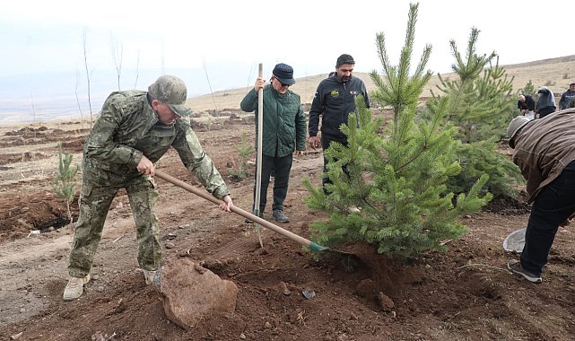 Şehit arkadaşlarının hatırasına 2 bin 400 rakımlı tepeye ağaç diktiler