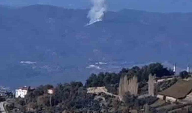 Seydikemer'de orman yangını