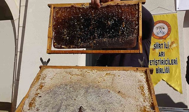Siirt'te arıcılara 41 milyon 436 bin liralık destek