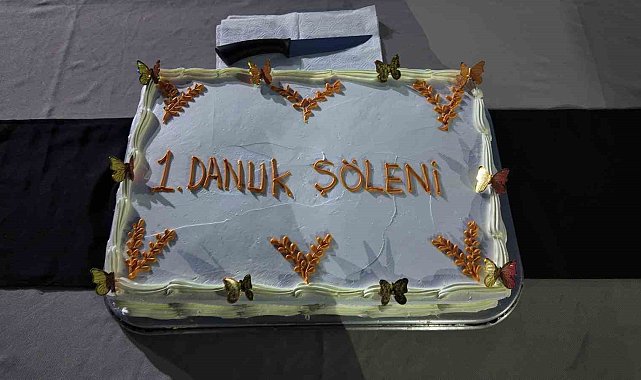 Siirt'te koruma altındaki çocuklarla "Danuk Şöleni"