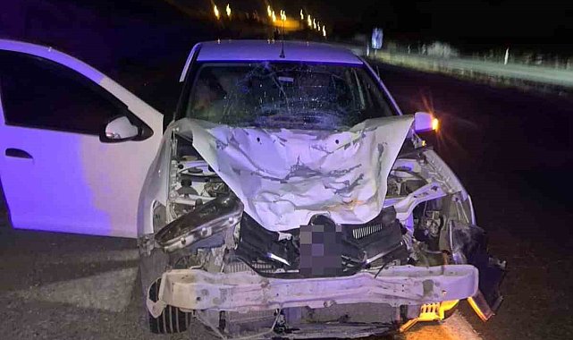 Siirt'te otomobilin çarptığı at telef oldu