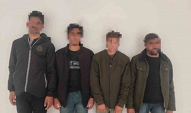 Siirt'te sahte pasaportlu 4 düzensiz göçmen yakalandı