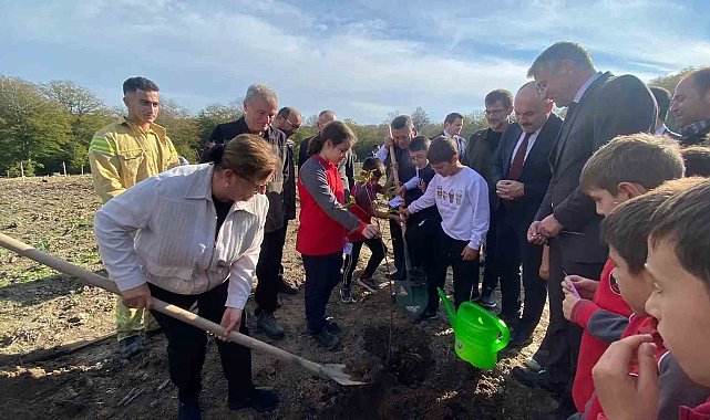 Sinop'ta 3 bin 860 fidan toprakla buluştu