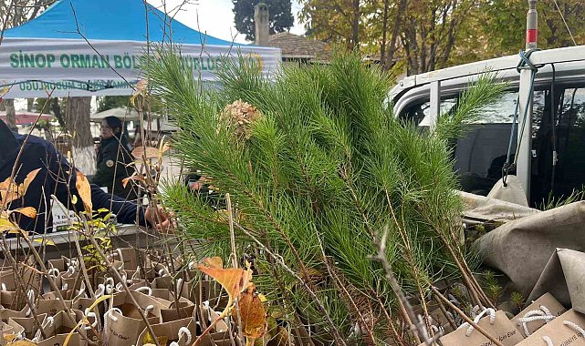 Sinop'ta vatandaşlara fidan dağıtıldı