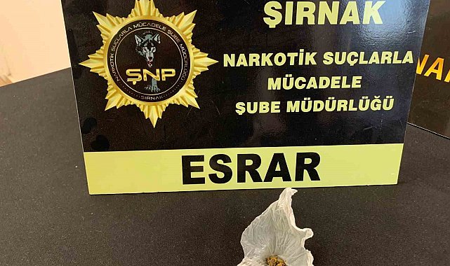 Şırnak'ta 5 milyon liralık kaçak malzeme ele geçirildi