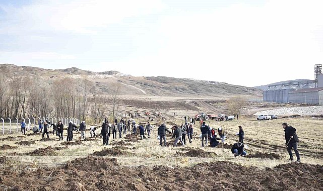 Sivas OSB'de yeşil dönüşüm binlerce fidan toprakla buluşuyor