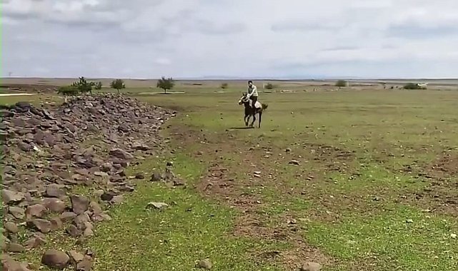 Siverek'te ilginç anlar kameraya yansıdı