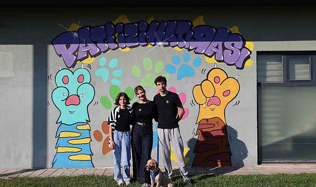 Sokaktan sıcacık yuvaya: 'Pati İzi'nde 500 can dost yeni hayatına kavuştu