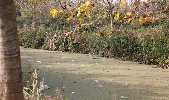Su kanalı adeta çöplüğe döndü: Vatandaş Karasu Belediyesi'ni göreve çağırdı