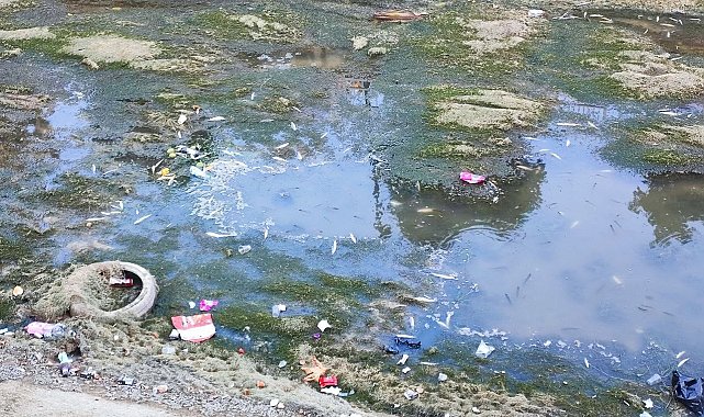Sulama kanalındaki balıklar telef olmaya devam ediyor