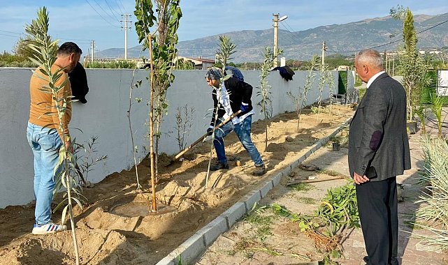 Sultanhisar'da can dostları için yeşil dokunuş