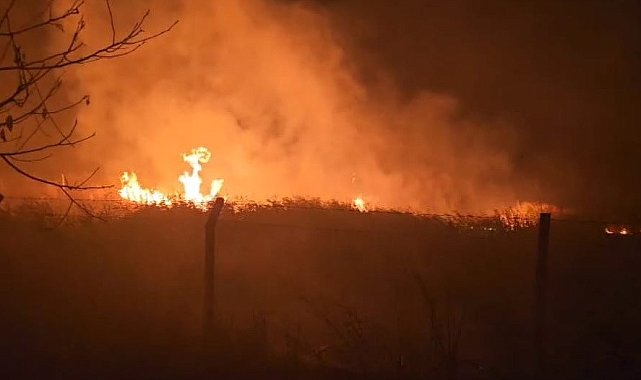 Sülüklü Göl'de kamışlar alev aldı