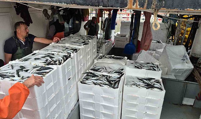 Tayfalar mutlu: Yüzlerce kasa balık yakalandı