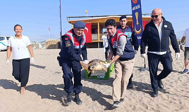 Tedavisi tamamlanan caretta caretta denizin maviliğine kulaç açtı
