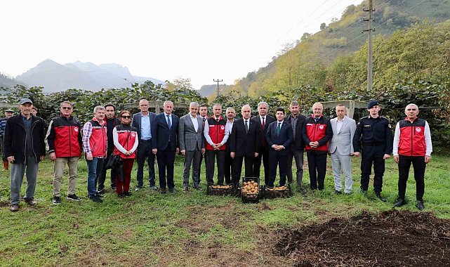 Tescilli Ordu kivisinde hasat başladı: İlin ekonomisine 520 milyon TL katkı