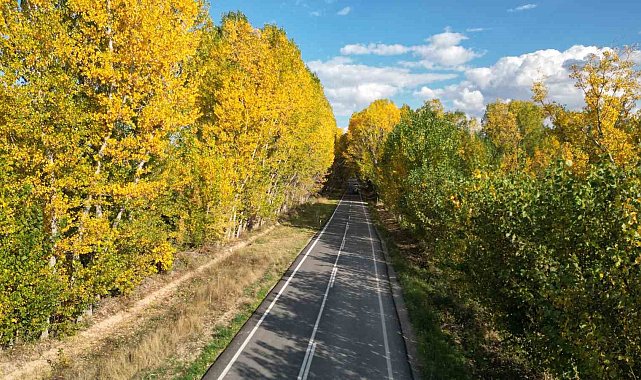 Tokat'ta belediyenin yaprakları temizlemediği parklarda renk cümbüşü oluştu