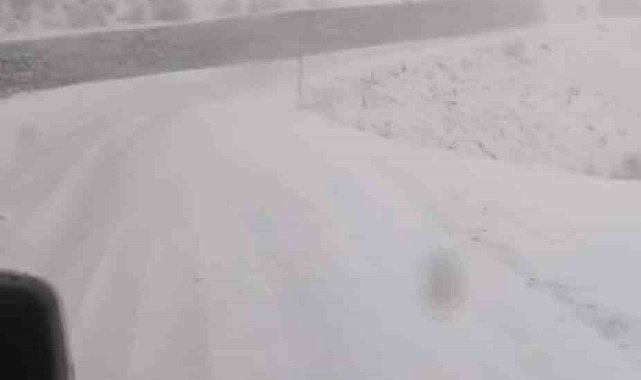 Tunceli'de, kar yağar yağmaz mücadele başladı