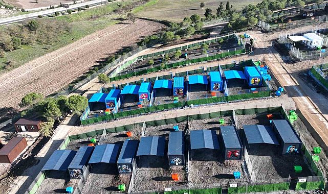 Türkiye'de ilk defa özel can dostlara sıcak yuva Balıkesir'de