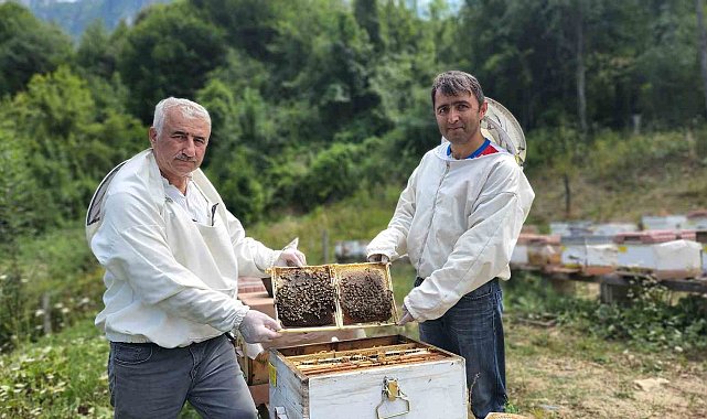 Türkiye'nin AB tescilli 43'üncü ürünü Yenice ıhlamur balı oldu