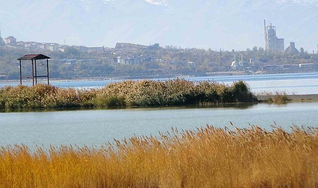 Van Gölü Havzası, Türkiye'nin en fazla sulak alanına ev sahipliği yapıyor