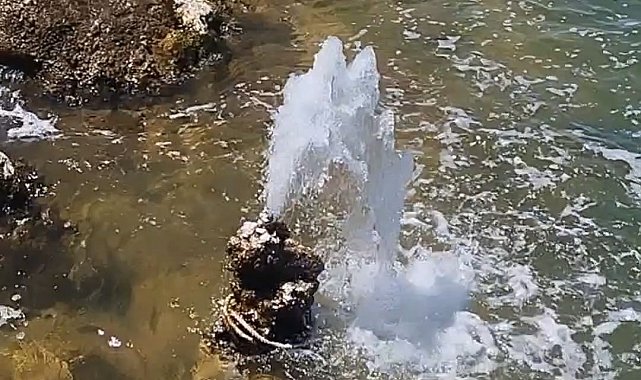 Van Gölü'nde şaşırtan görüntü: Mikrobiyalitten tatlı su fışkırdı