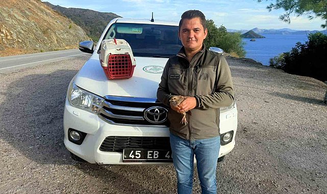 Yasadışı Kınalı Keklik satışına 28 bin TL ceza