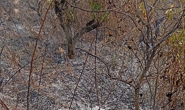 Yaşlı adam, bahçesini temizlerken yangında hayatını kaybetti