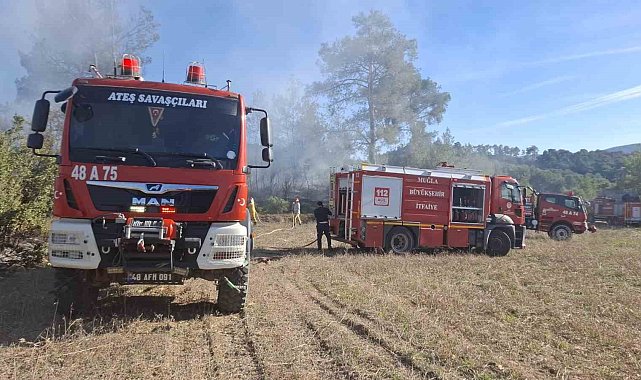 Yatağan'daki iki ayrı arazi yangını büyümeden söndürüldü