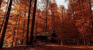 Yedigöller Milli Parkı ziyaretçi akınına uğradı