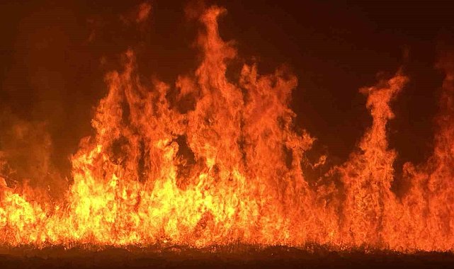 Yüksekova'da kuş cenneti Nehil Sazlığı'ndaki yangın yerleşim yerlerini tehdit ediyor