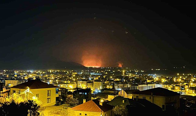 Yüksekova'da kuş cenneti olan Nehil Sazlığı yanıyor: Yangın tüm ilçeden görüldü