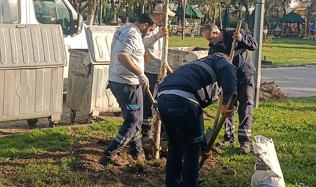 Yunusemre'de ağaçlandırma çalışmaları sürüyor