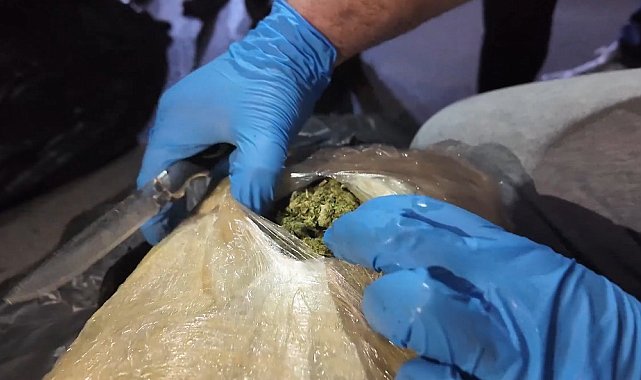 Yurtdışından gelen tırda 223 kilo uyuşturucu ele geçirildi: 1 tutuklama