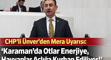 CHP'li Ünver'den Mera Uyarısı: 'Karaman'da Otlar Enerjiye, Hayvanlar Açlığa Kurban Ediliyor!'