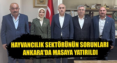 Hayvancılık Sektörünün Sorunları Ankara'da Masaya Yatırıldı