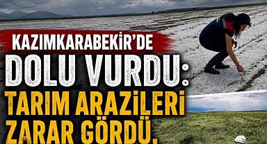 Kazımkarabekir’de Dolu Vurdu: Tarım Arazileri Zarar Gördü, Hasar Tespiti Başladı